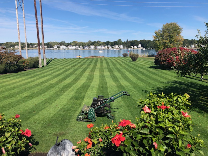 striped lawn