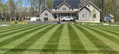 locke lawn stripes