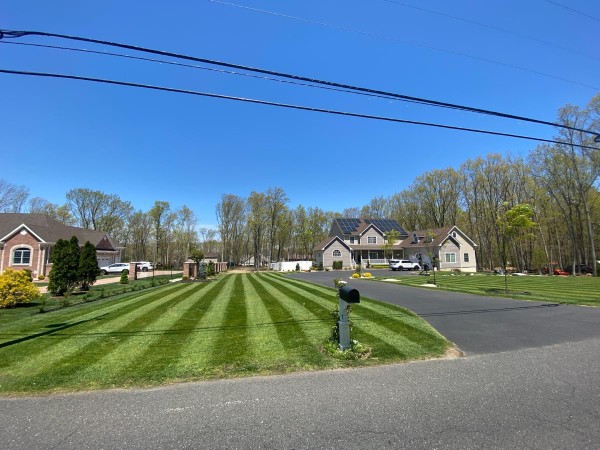 locke lawn stripes