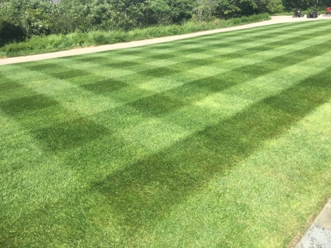 locke lawn stripes