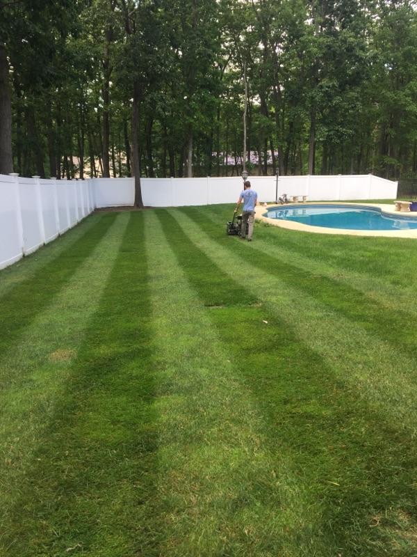 locke lawn stripes