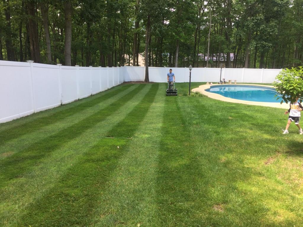 locke lawn stripes